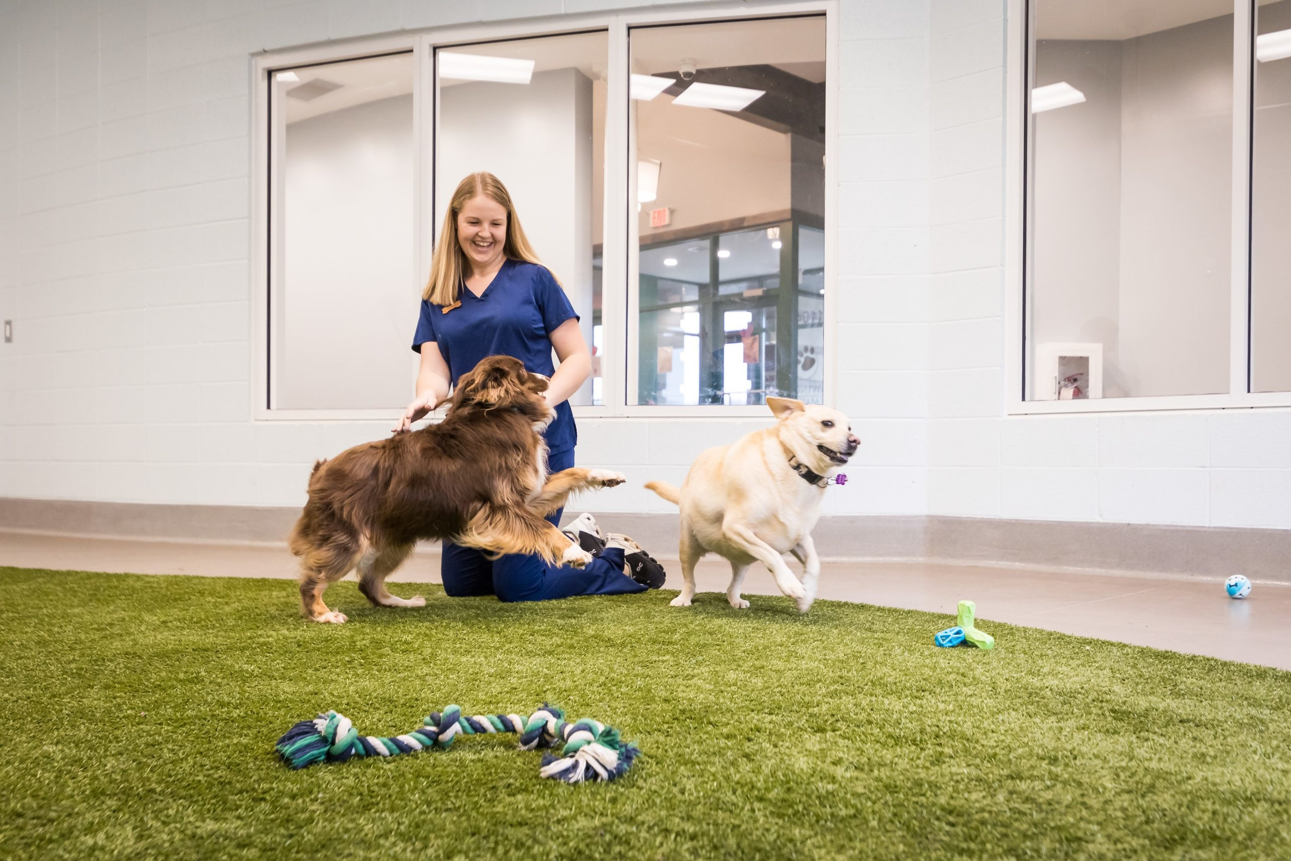 Dog Daycare Center Madison, AL